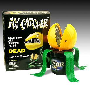Fly Catcher
